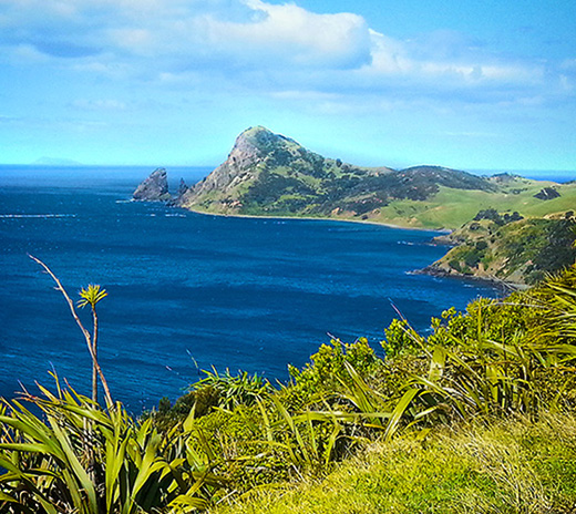 Coromandel Accommodation - Jacaranda Lodge - Sea View Scenery Coromandel Accommodation - Jacaranda Lodge - Sea View Scenery